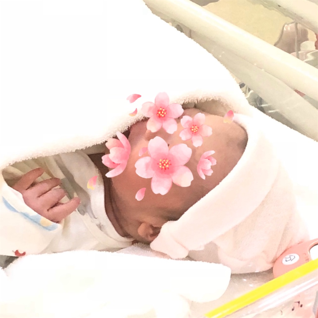 f:id:chie_coco:20200303020438j:image