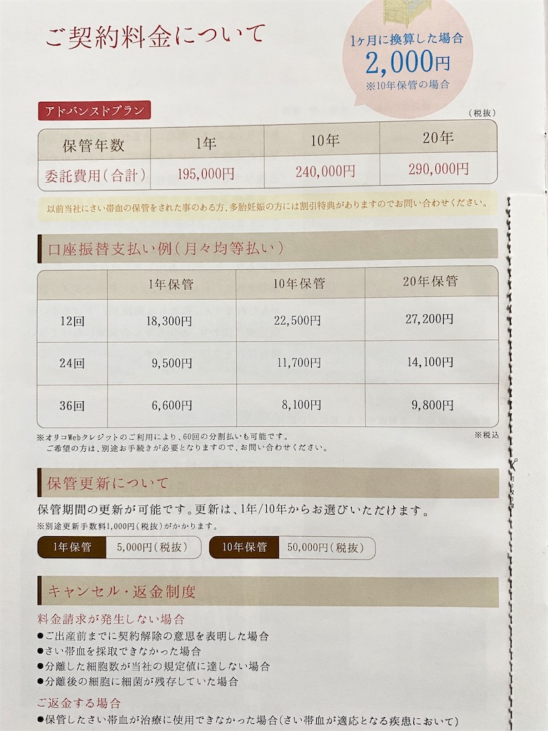 f:id:chie_coco:20200616094931j:image