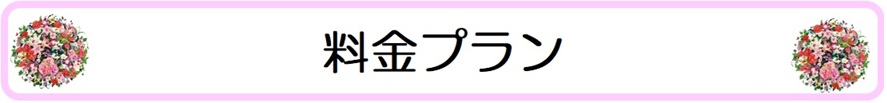 【Rcawaii(アール カワイイ)】の料金プラン