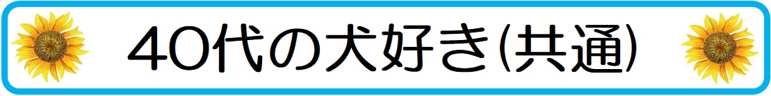 40代の犬好きが【ペット婚】で成功する為のポイント（男女共通）