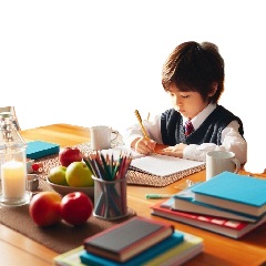 小学生がリビングで勉強している写真6