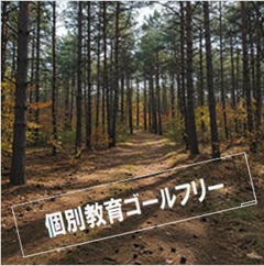 個別教育ゴールフリーのイメージ画像