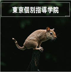 東京個別指導学院のイメージ画像