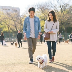 犬と公園を散歩するカップル