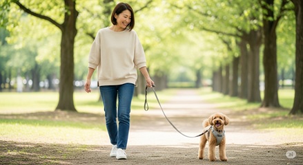 「ペルロス」ハーネスとは？のイメージ画像