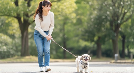 ペルロスハーネスこんな犬種・飼い主さんにおすすめ！のイメージ画像
