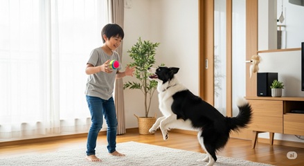 犬のしつけを通して学ぶ忍耐力のイメージ画像