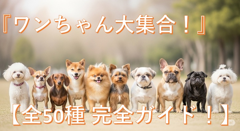 【人気50犬種】犬種別の平均体重・寿命・性格・飼い方の注意点のイメージ画像