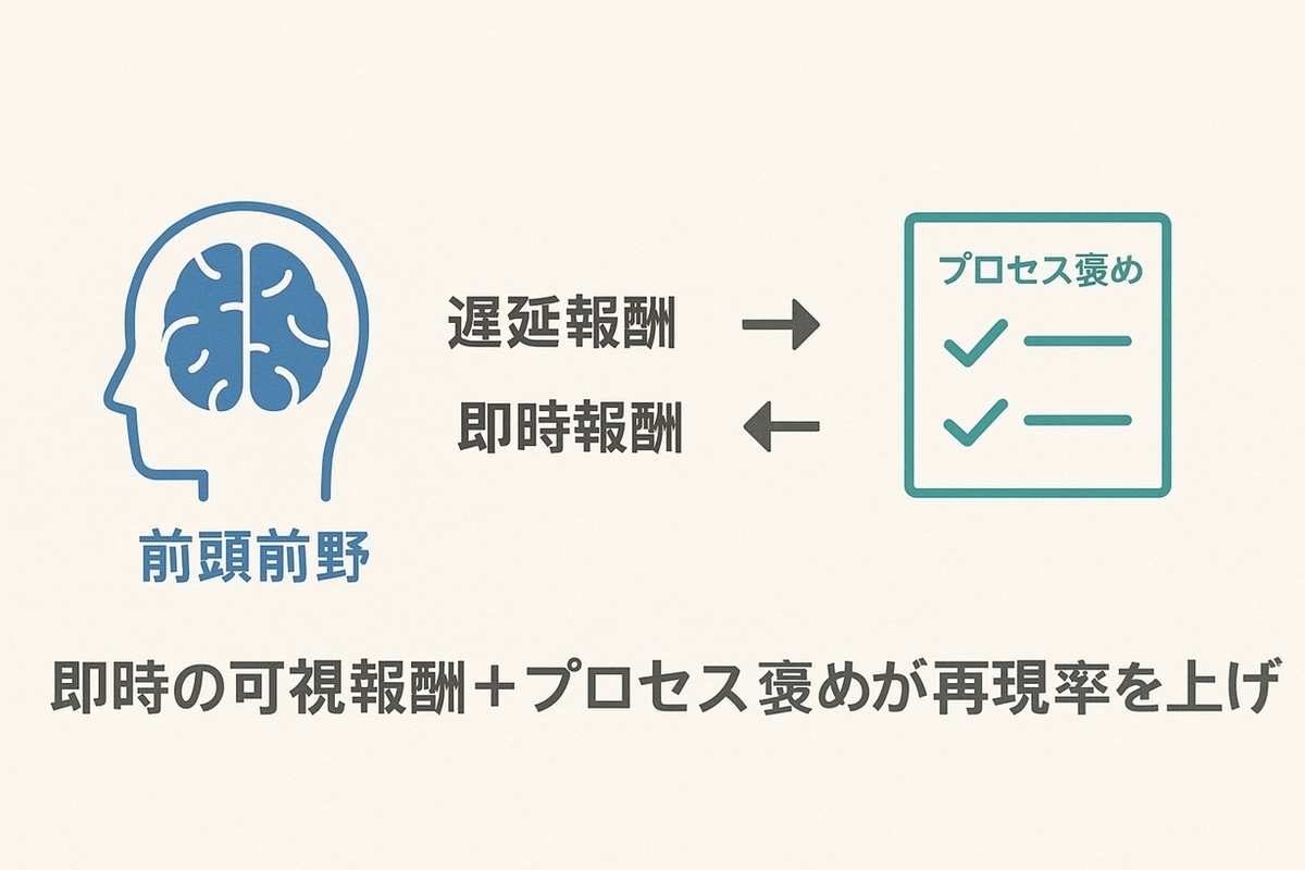 小学生の前頭前野の発達と遅延報酬への弱さ、プロセス褒めの効果を示す図