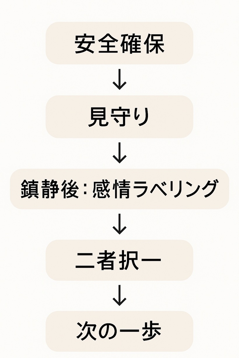癇癪対応フロー:安全→見守り→感情ラベリング→二者択一