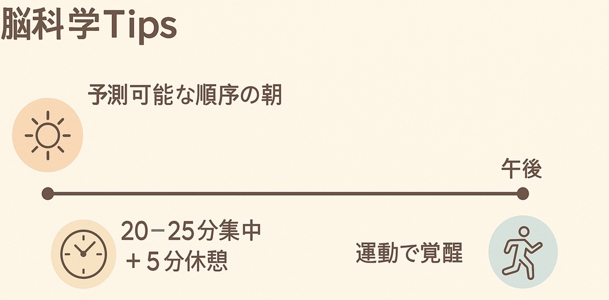脳科学Tips:予測可能な朝の順序、20–25分集中と5分休憩、午後の運動の時間帯図