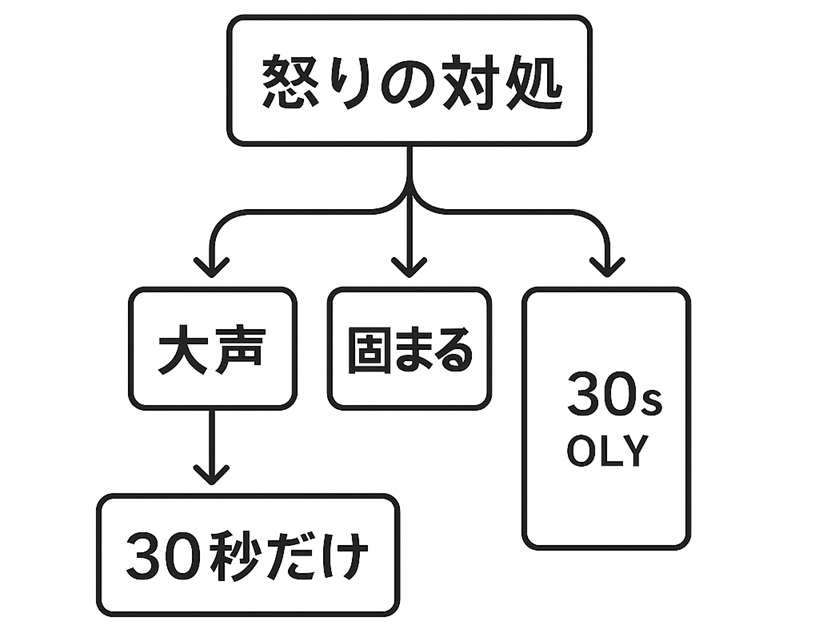 大声・固まる・時間制約に応じた怒り対処の分岐フローチャート