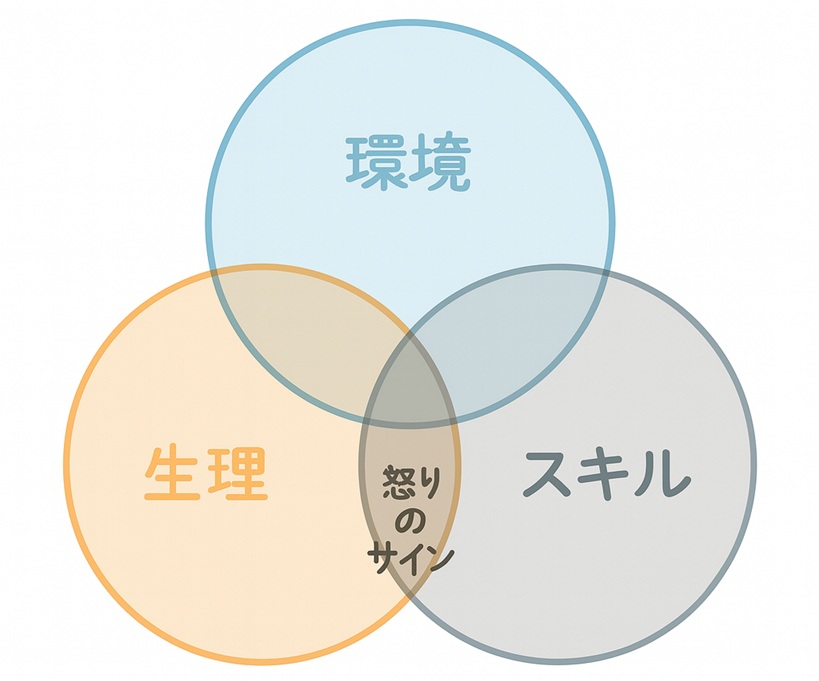 生理・環境・スキルの重なりが怒りの信号になることを示すベン図