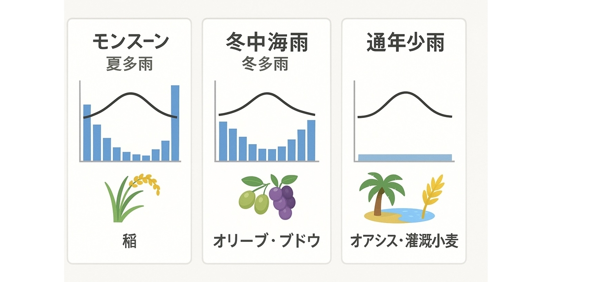 モンスーンは夏多雨で稲、地中海は冬多雨でオリーブ・ブドウ、砂漠は通年少雨でオアシス・灌漑小麦に対応する典型グラフ