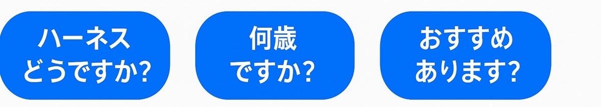 静岡のドッグラン・カフェで使える会話のきっかけ3つ