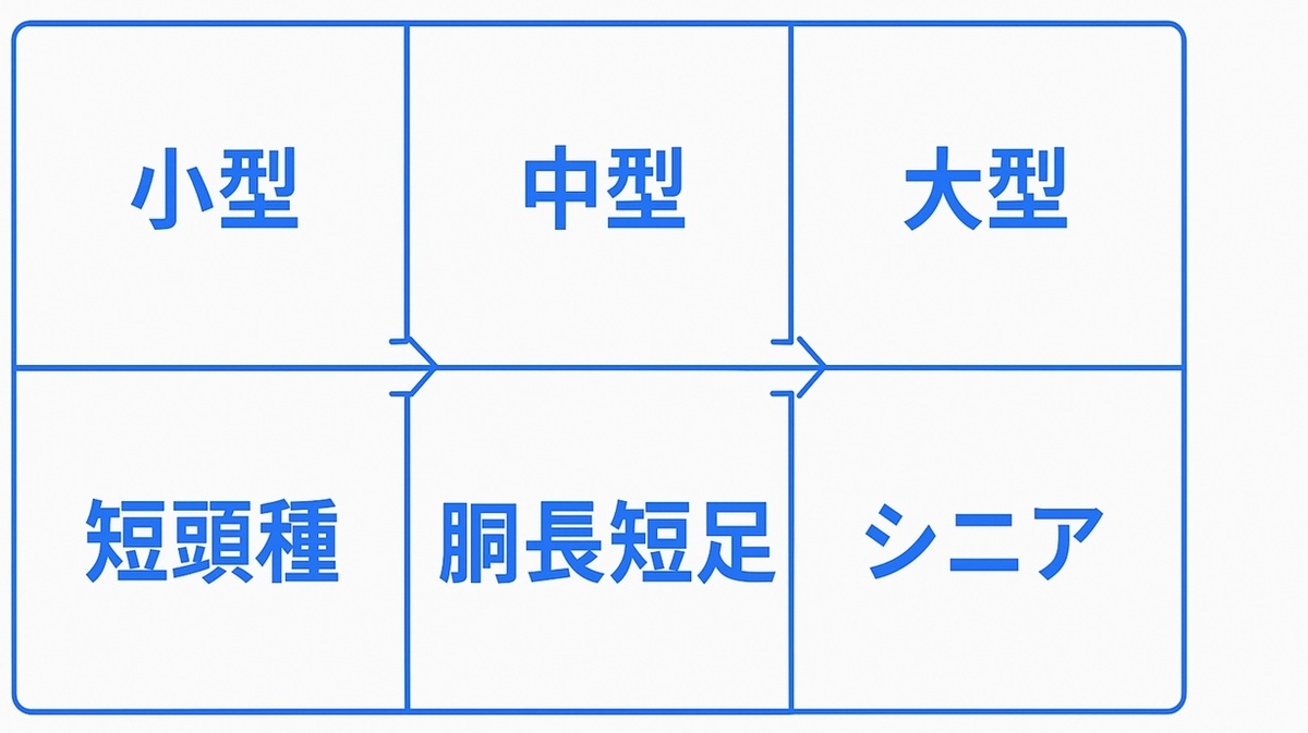 犬種・体型別フィットの見取り図