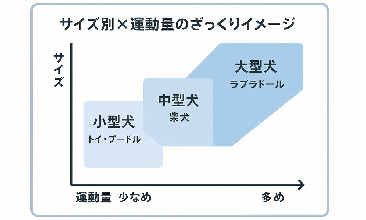 小型・中型・大型犬を運動量の目安とあわせて示したサイズ別×運動量チャート図