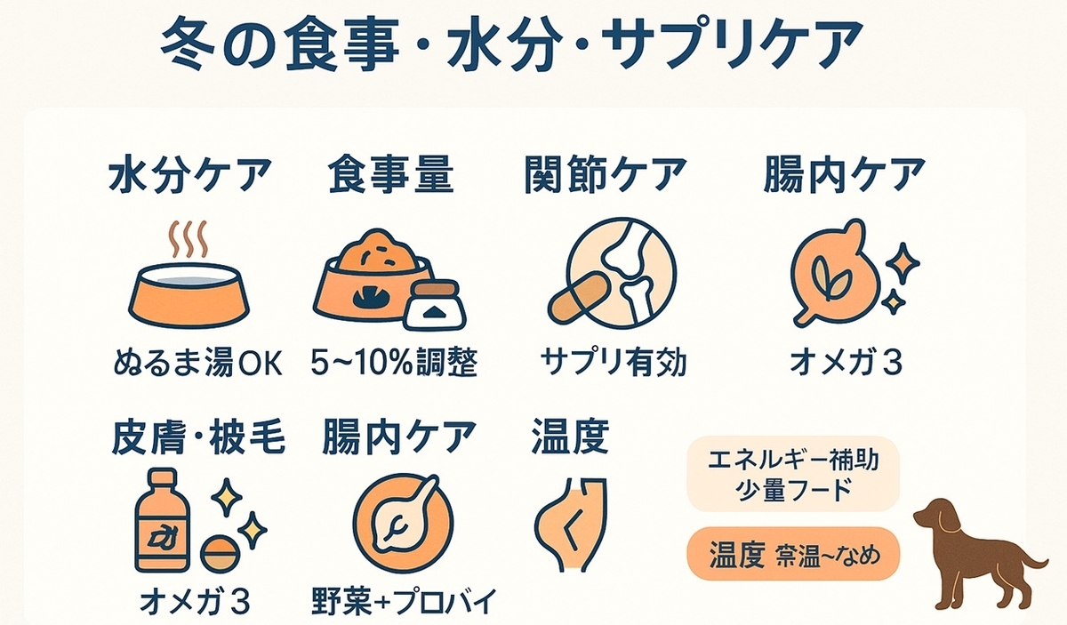 冬の犬の健康管理として、水分ケア・食事量調整・関節サプリ・オメガ3による皮膚ケア・腸内環境ケアを5つのパネルでまとめた図解