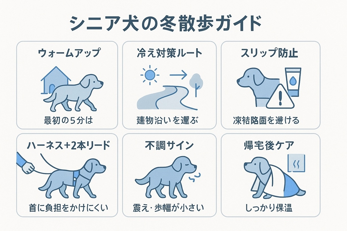 シニア犬の冬散歩で大切なポイントを、ウォームアップ・冷え対策のルート選び・スリップ防止・ハーネスと2本リード・不調サイン・帰宅後のケアの6つに分けてイラスト付きで説明した図解