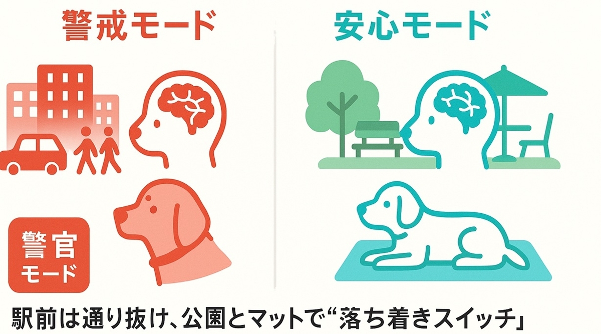 駅前の刺激ゾーンから公園とカフェマットの安心ゾーンへ切り替える脳科学的イメージ図
