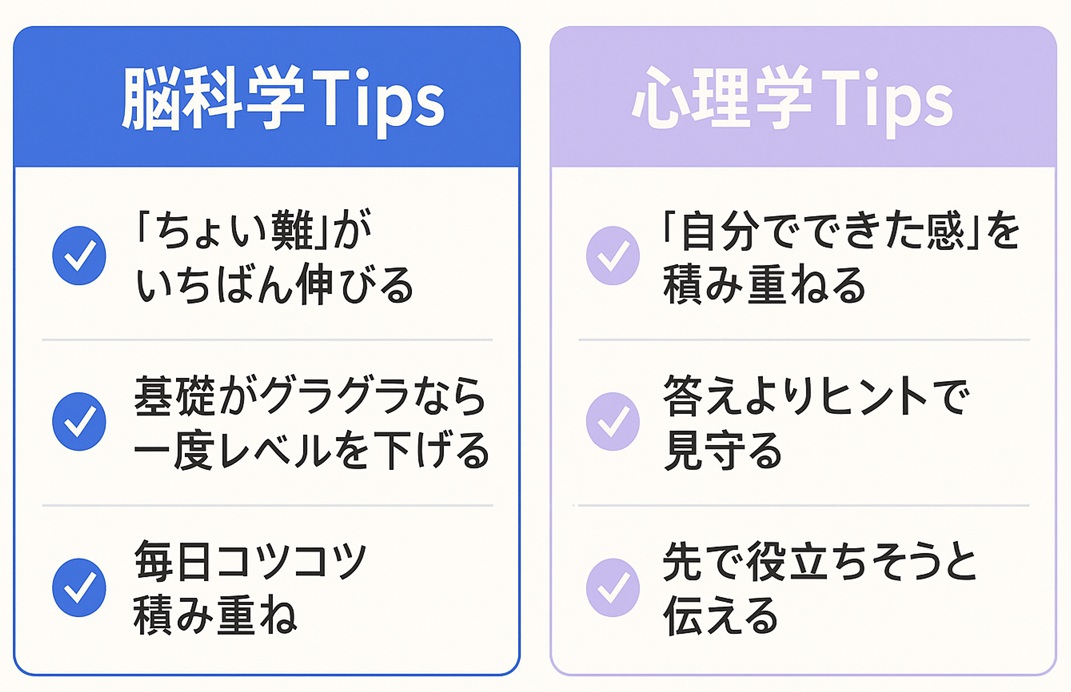 Z会がハマる子・折れる子の違いを「脳科学」と「心理学」の視点から整理した2カラムのTipsボード