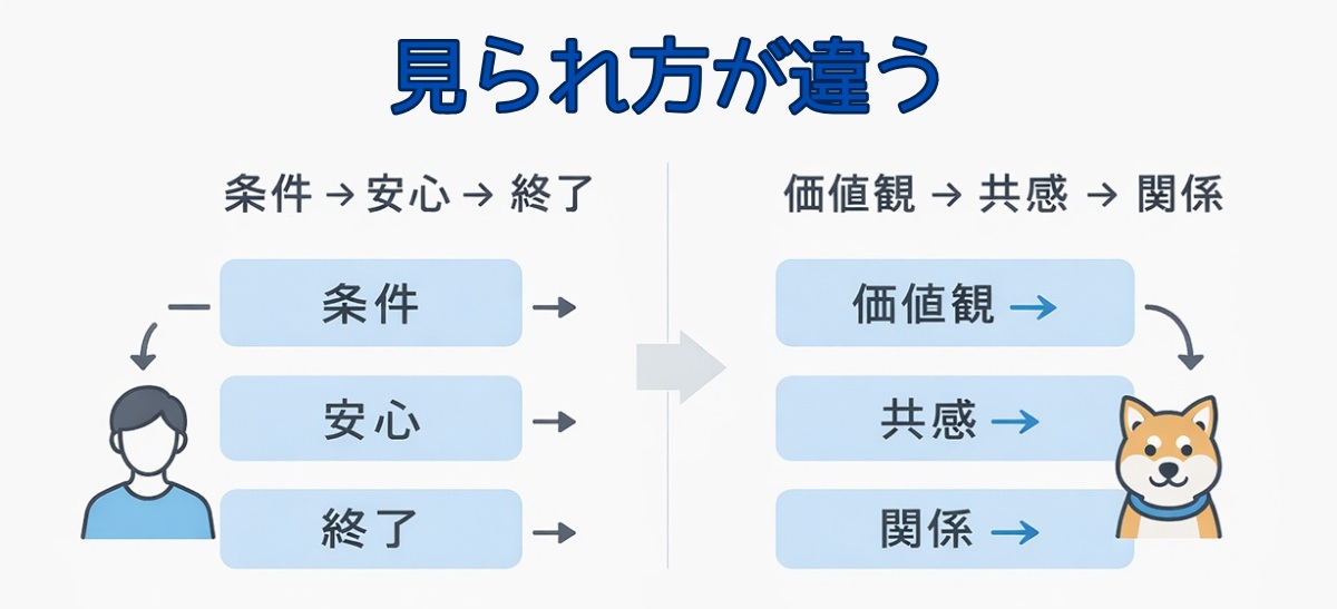 公務員 婚活 続かない 理由 評価のズレ 図解