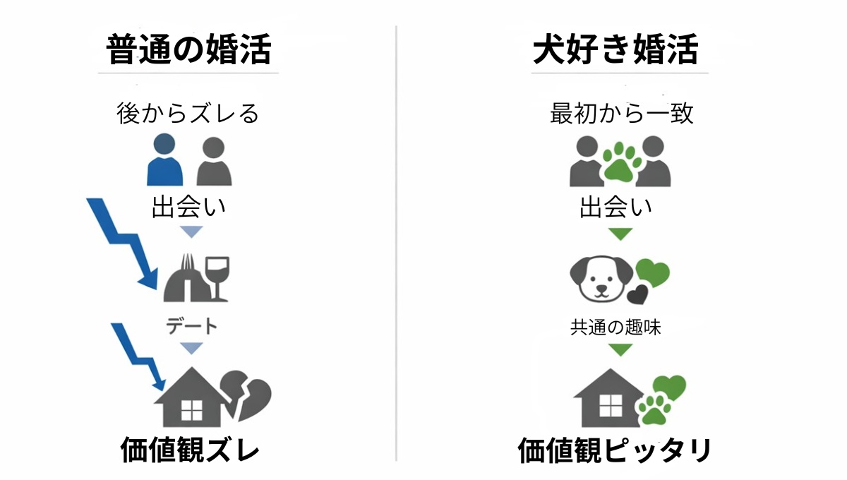 犬好き婚活 普通の婚活 違い 比較図
