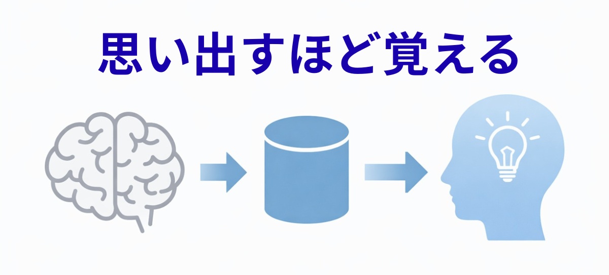 記憶が思い出すことで定着する仕組みの図