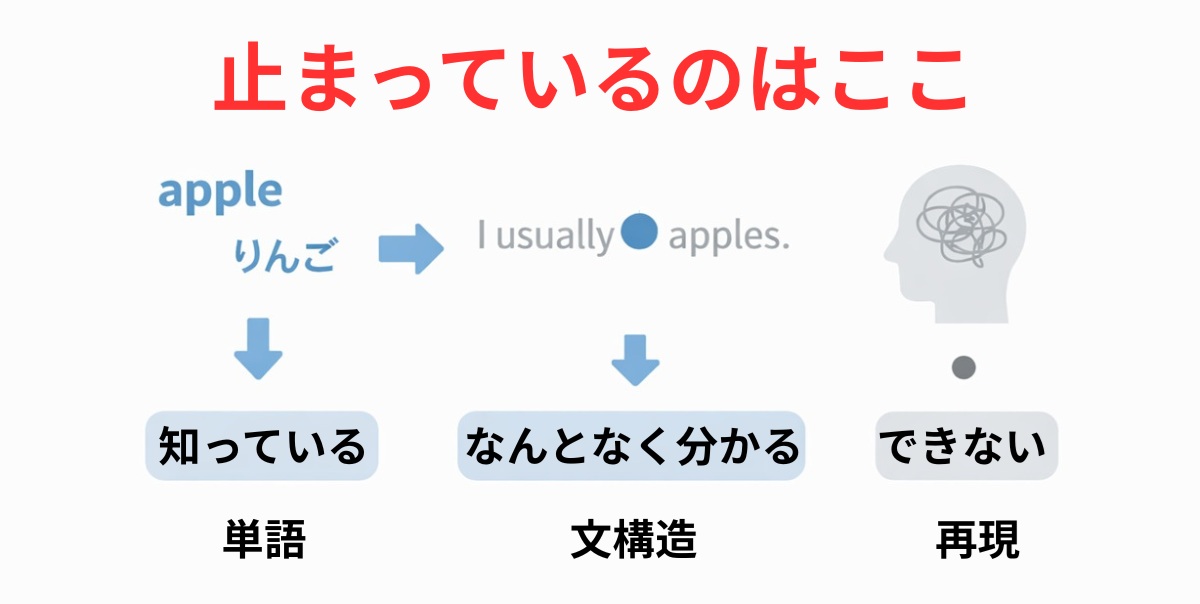 英語長文が読めない原因の3段階構造