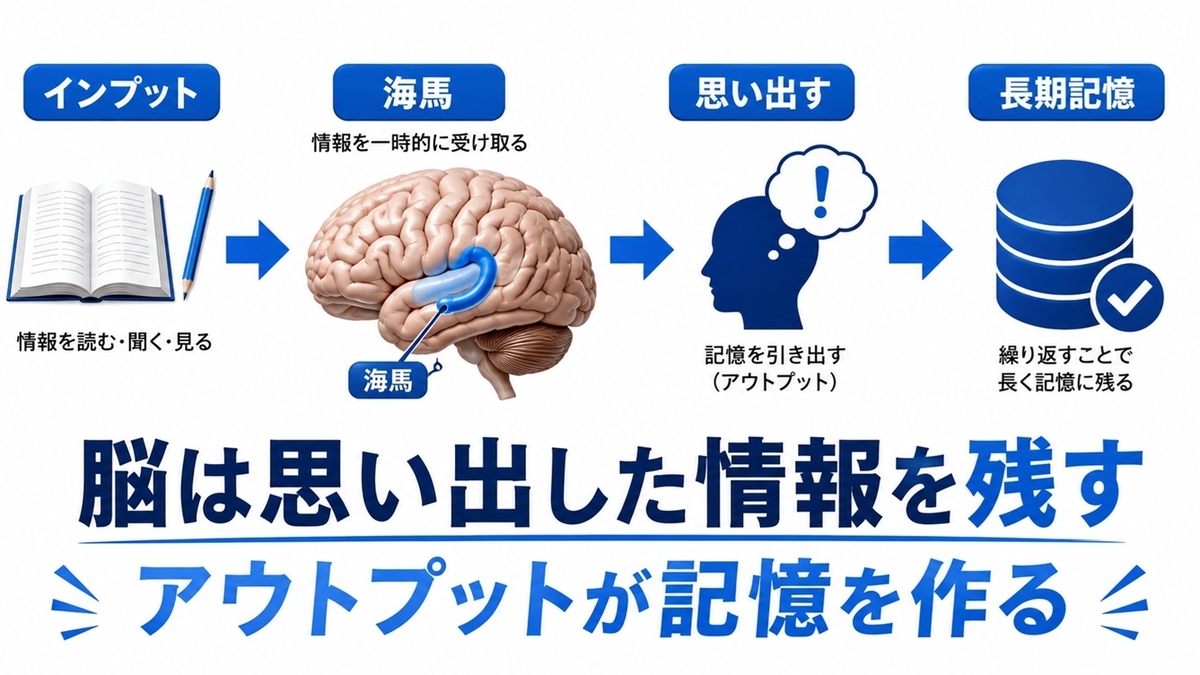 海馬と長期記憶の仕組みを説明する図解