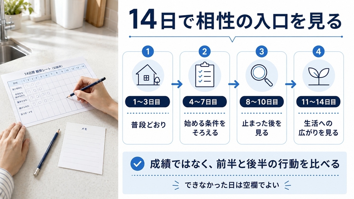 幼児通信教育の相性を14日間で観察する4期間の進め方