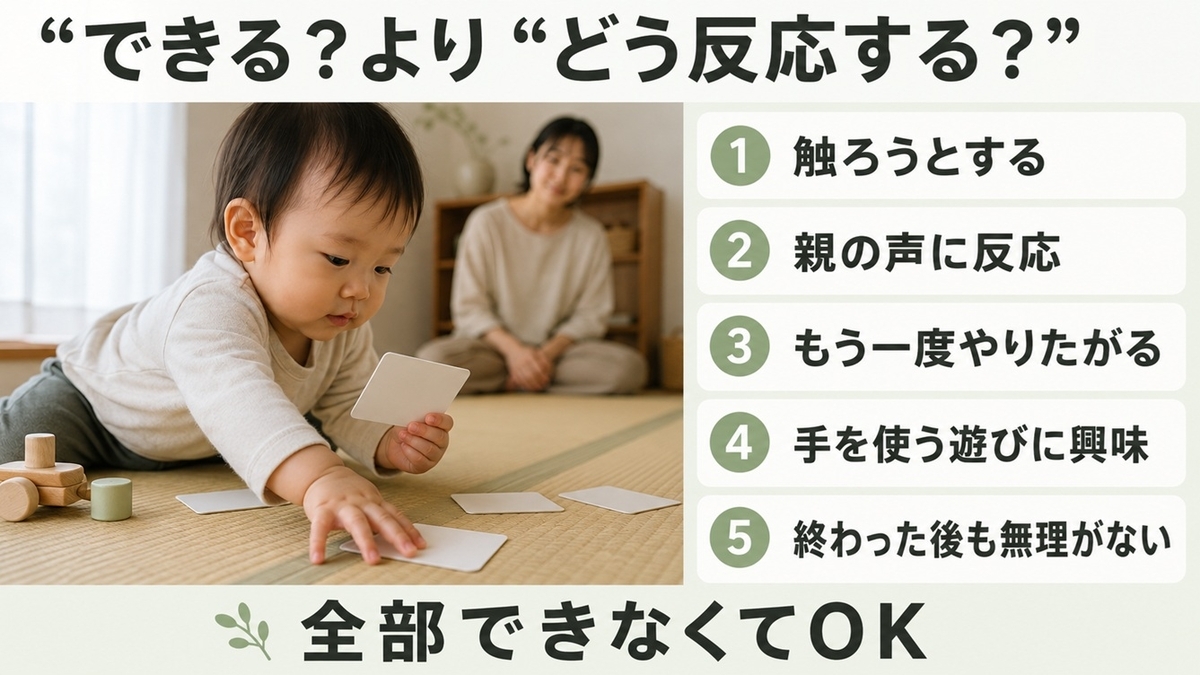 1歳児が通信教育の教材に示す5つの反応を観察するポイント