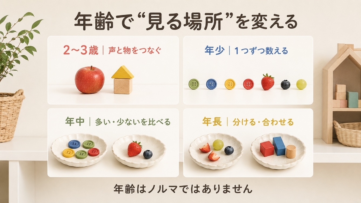 2歳から年長まで幼児の数量感覚で観察したいポイントを示す年齢別図