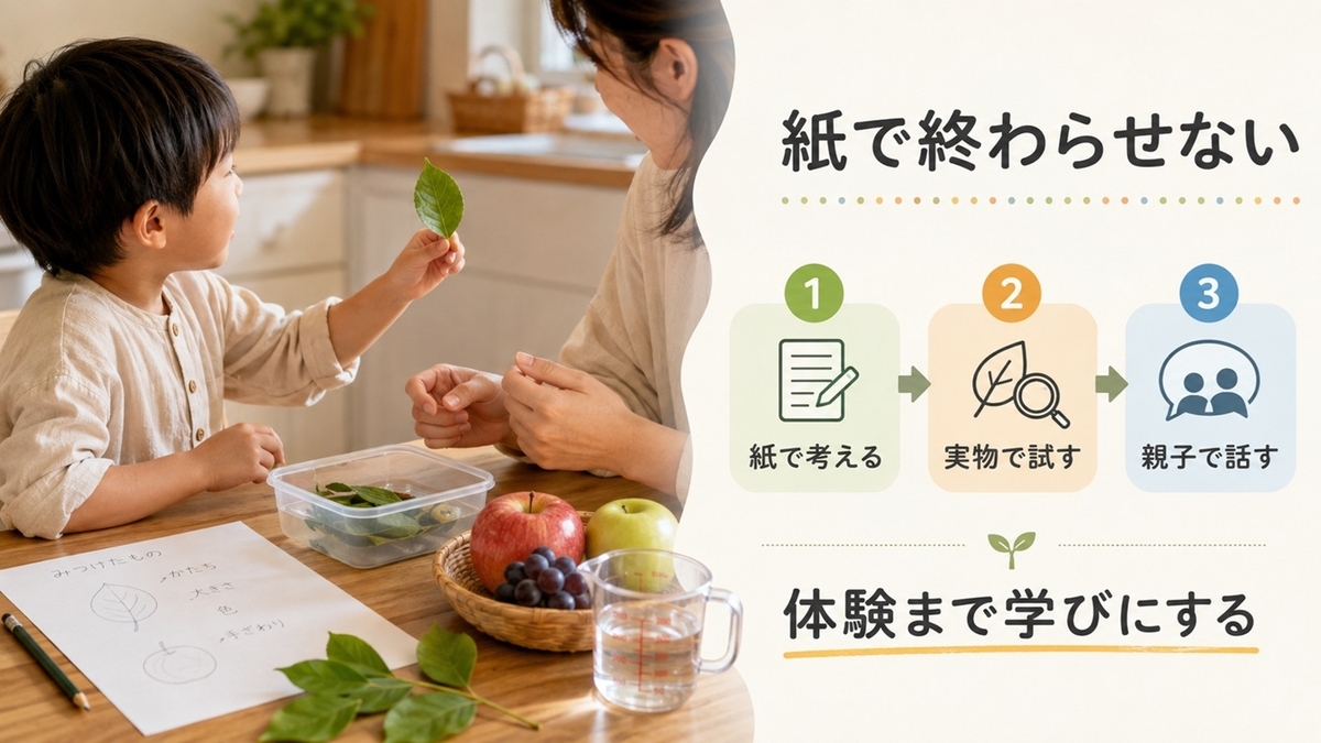 Z会幼児コースの紙ワークから実体験と親子の会話へ広げる学び