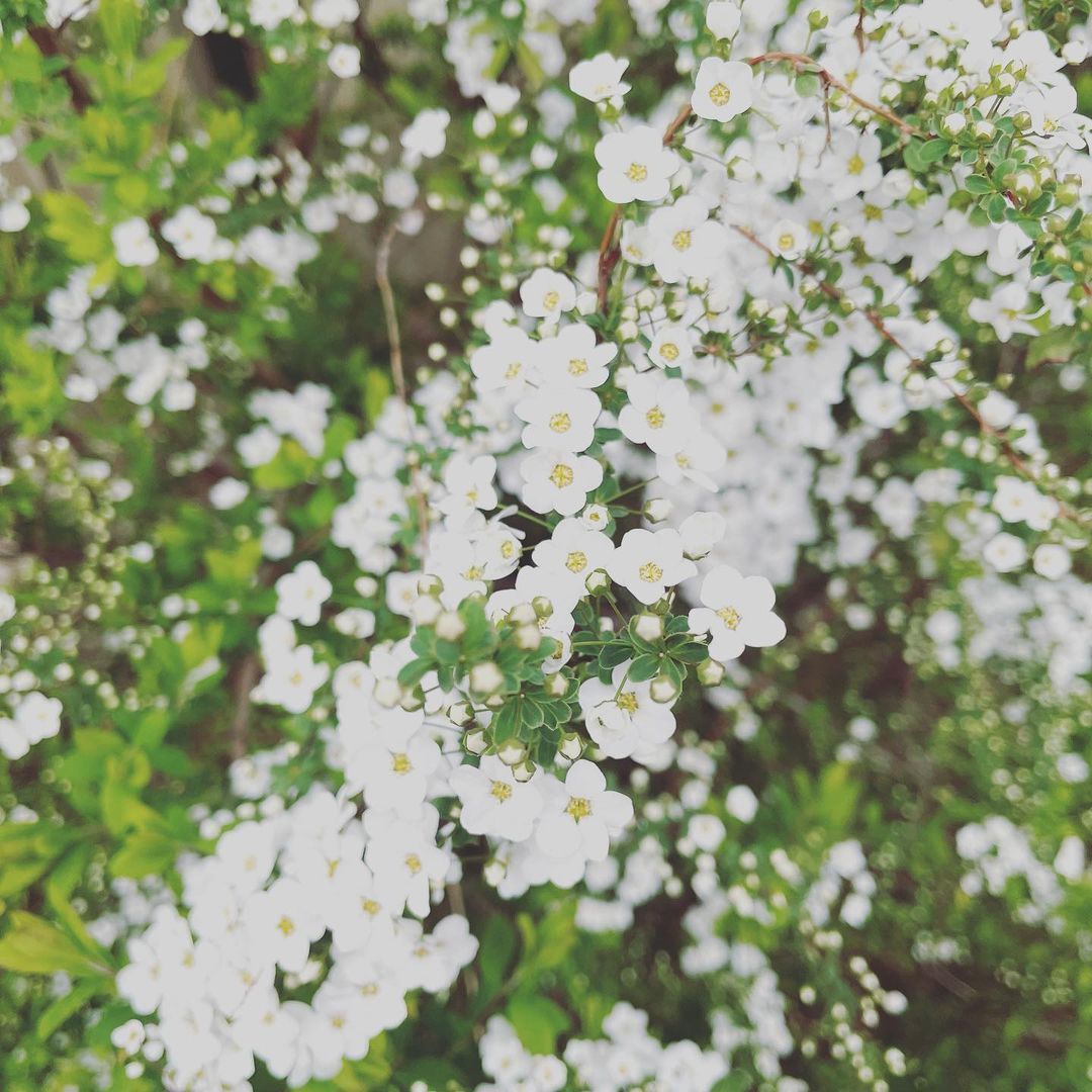 f:id:chieheaven:20220401041235j:plain