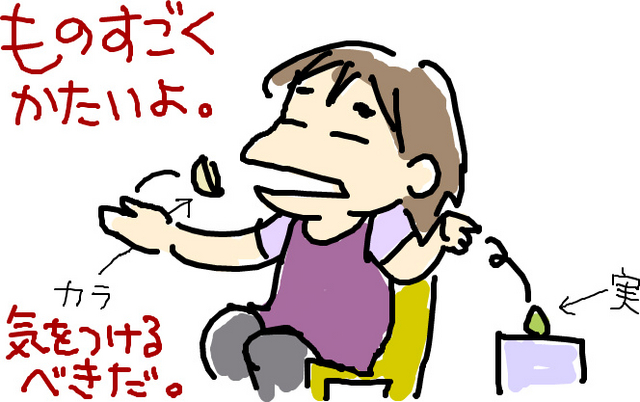 f:id:chiekichi:20080617004202j:image