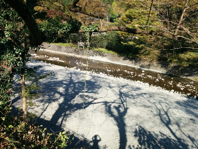 f:id:chieko1102:20161108124259j:image