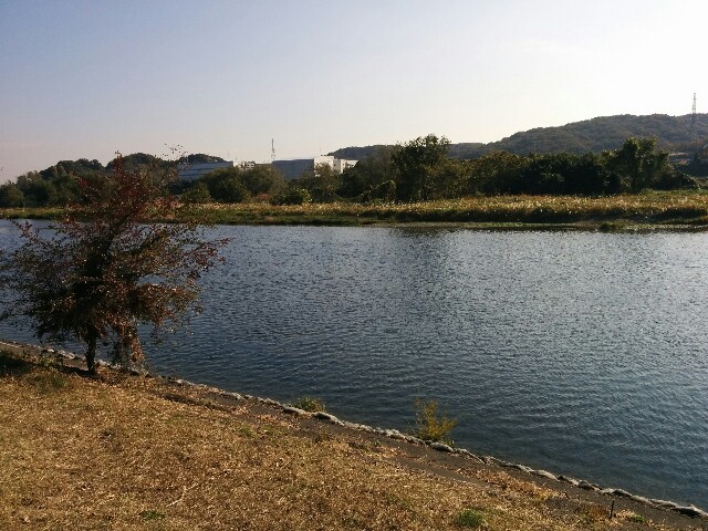 f:id:chieko1102:20161120160817j:image