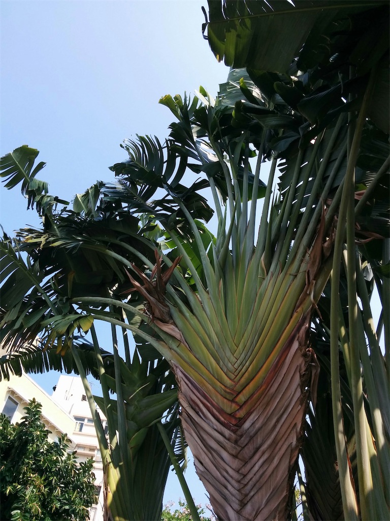 f:id:chieko1102:20220410125145j:image