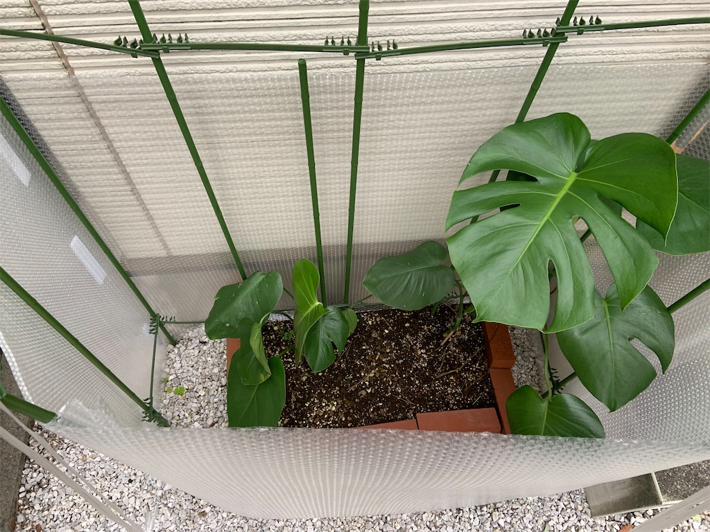 f:id:chieko1102:20220411124403j:image