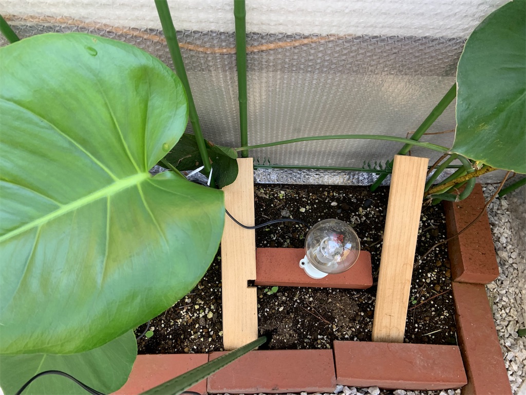 f:id:chieko1102:20220411195547j:image