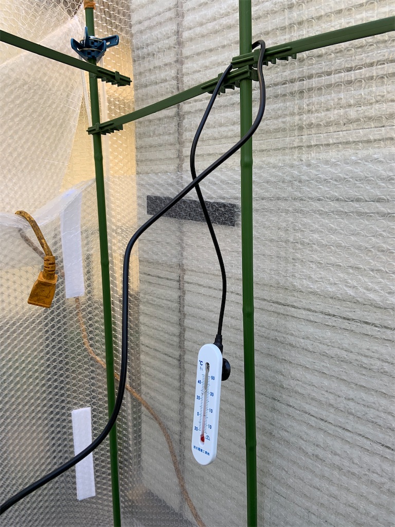 f:id:chieko1102:20220411195549j:image