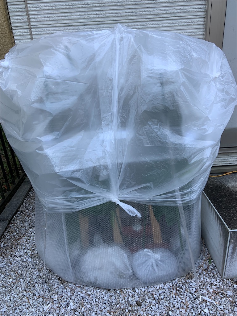 f:id:chieko1102:20220412133703j:image