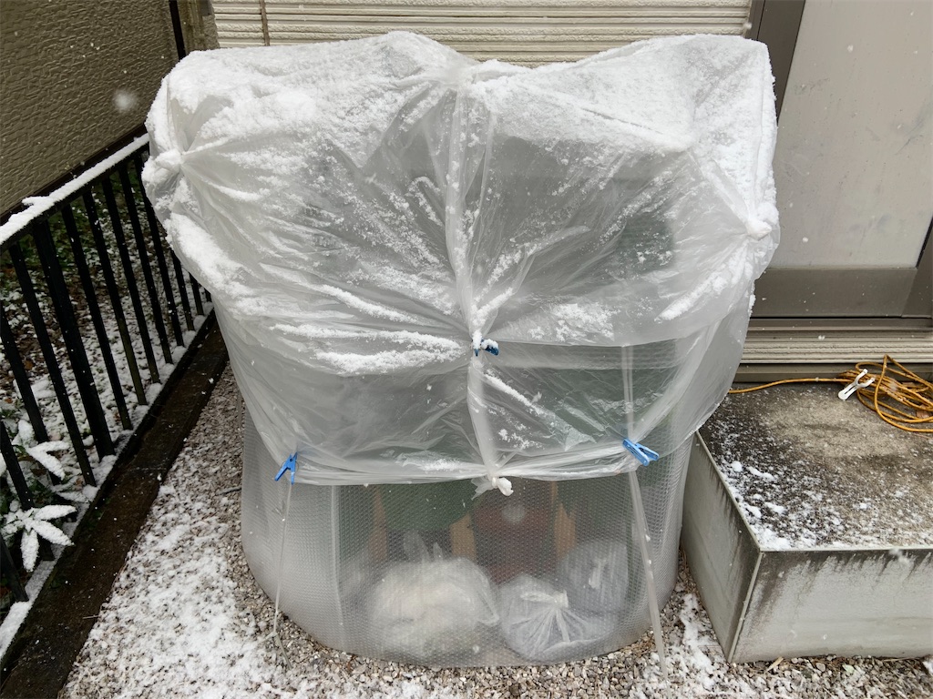 f:id:chieko1102:20220412183157j:image