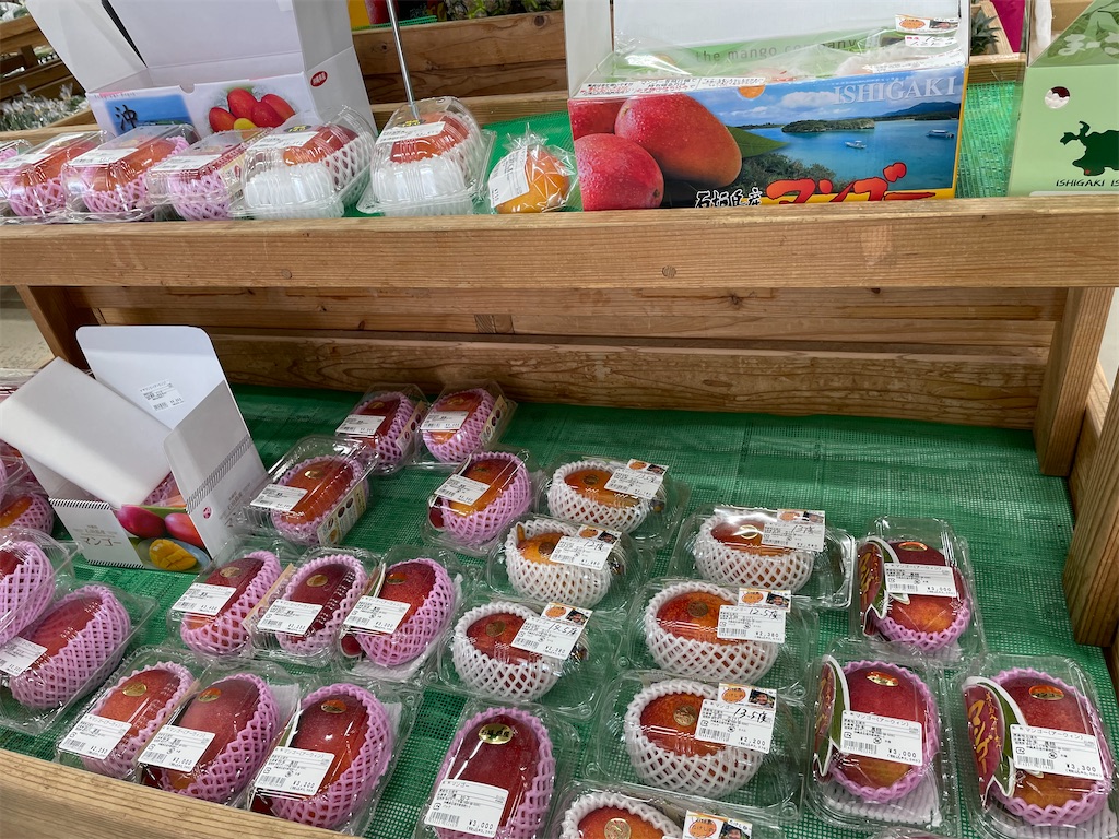 f:id:chieko1102:20250706192807j:image