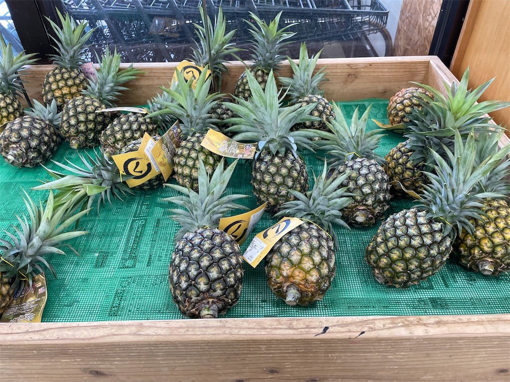 f:id:chieko1102:20250706192814j:image