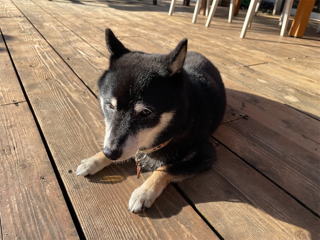 f:id:chieko1102:20250707181401j:image