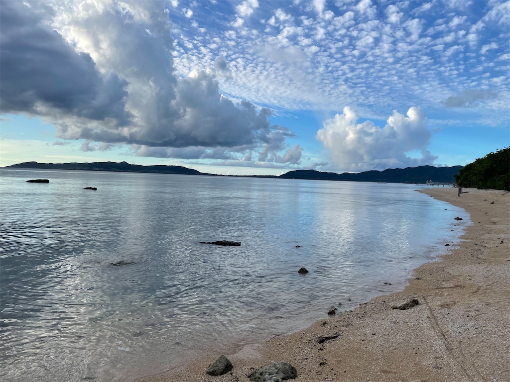 f:id:chieko1102:20250707194432j:image