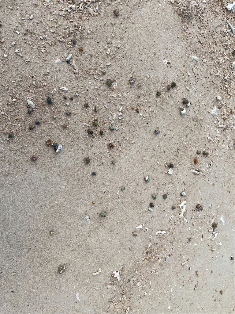 f:id:chieko1102:20250707195232j:image