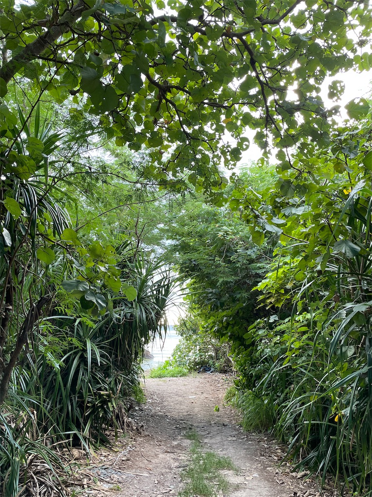 f:id:chieko1102:20250707195442j:image